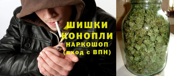 крисы Аркадак