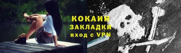 крисы Аркадак