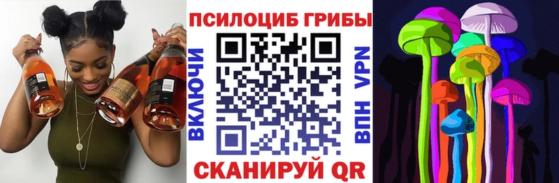 kraken ТОР  Удачный  Псилоцибиновые грибы Psilocybe 